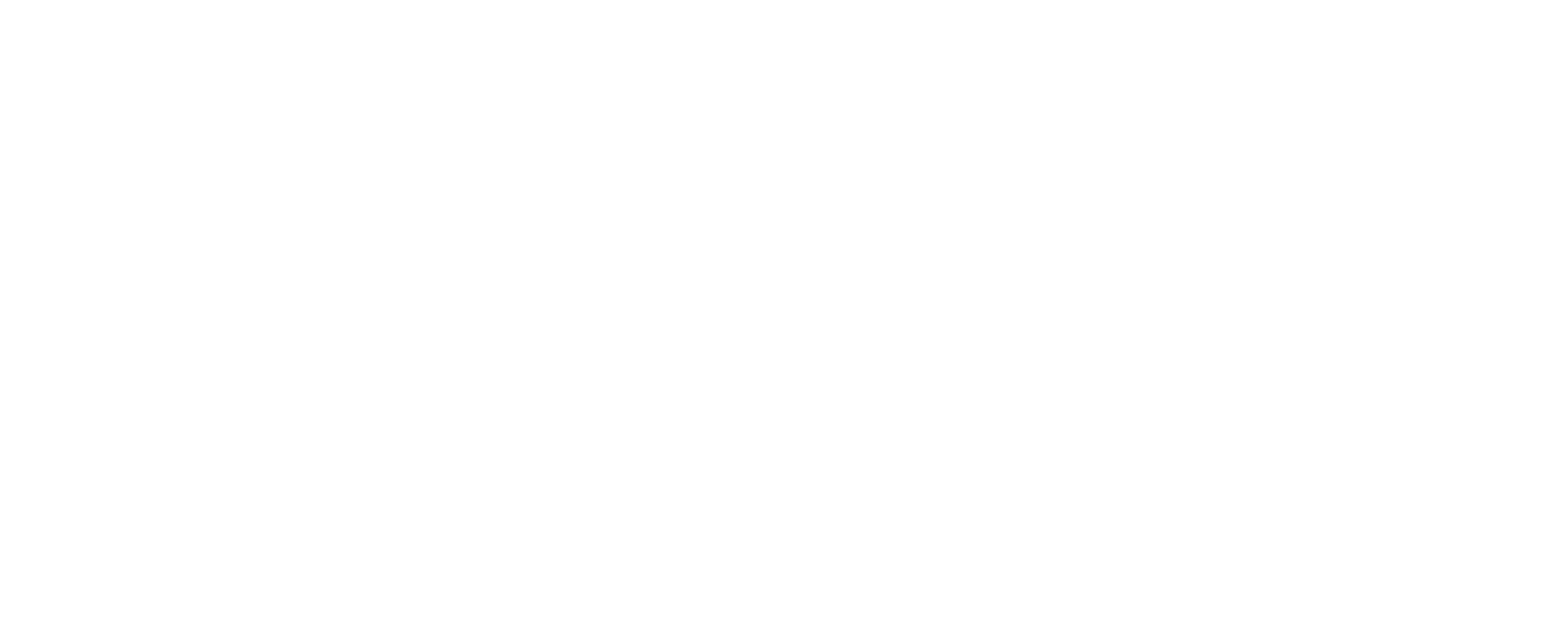 Fungus Mycelium