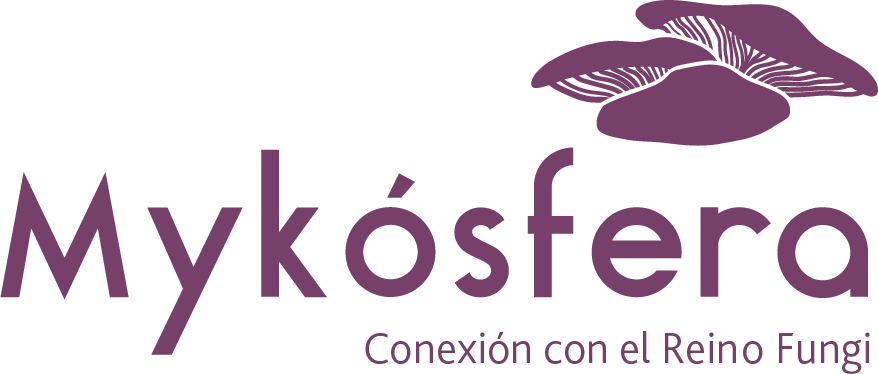 Mykósfera